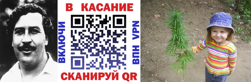 Где купить Ижевск Альфа ПВП  Cocaine  МЕФ  Конопля 
