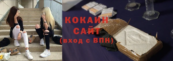 эйфоретик Бородино