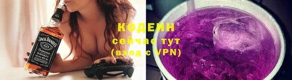 эйфоретик Бородино