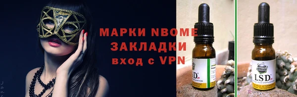 крисы Бугульма