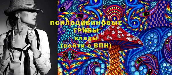 крисы Бугульма