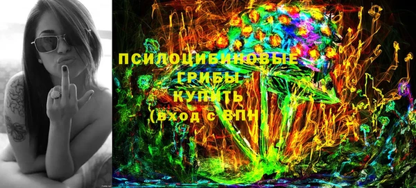 эйфоретик Бородино