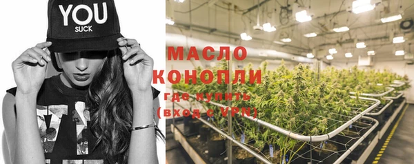 эйфоретик Бородино